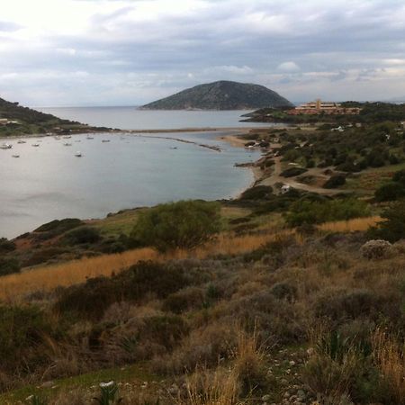 Villa Dendron Agia Marina  Exteriér fotografie