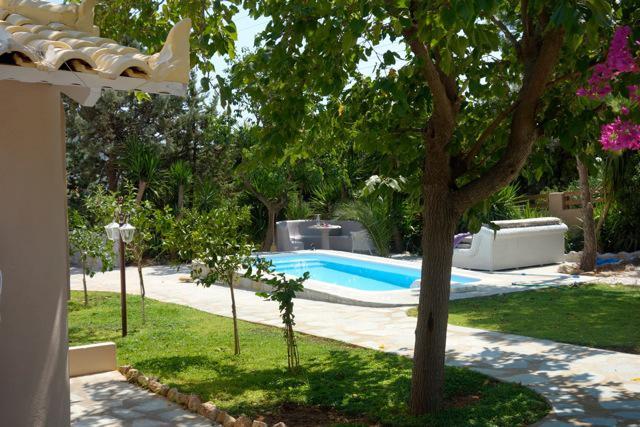 Villa Dendron Agia Marina  Exteriér fotografie