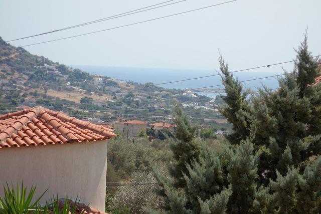 Villa Dendron Agia Marina  Exteriér fotografie